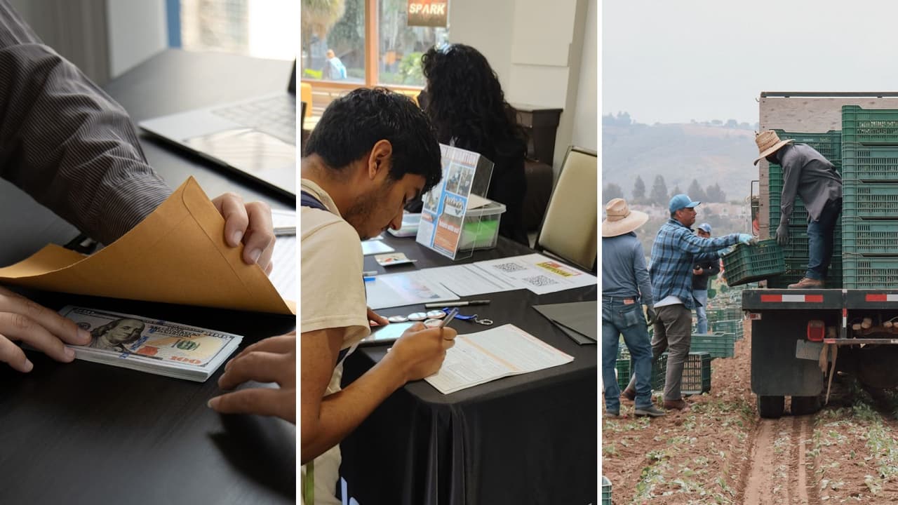 ¿Fraude en el pago único de $600 para trabajadores en California? Te decimos todo lo que debes saber