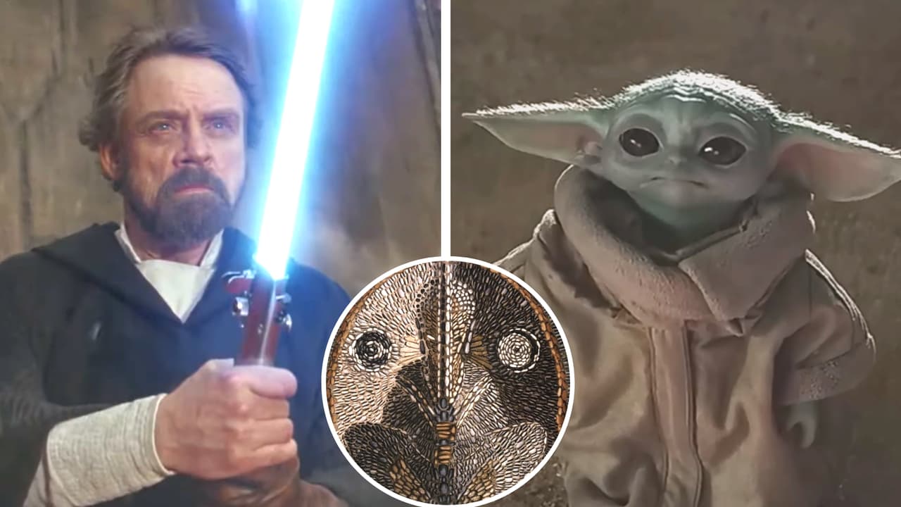 ‘Star Wars’: quién fue el primer Jedi y todo lo que se sabe sobre el origen de la Fuerza