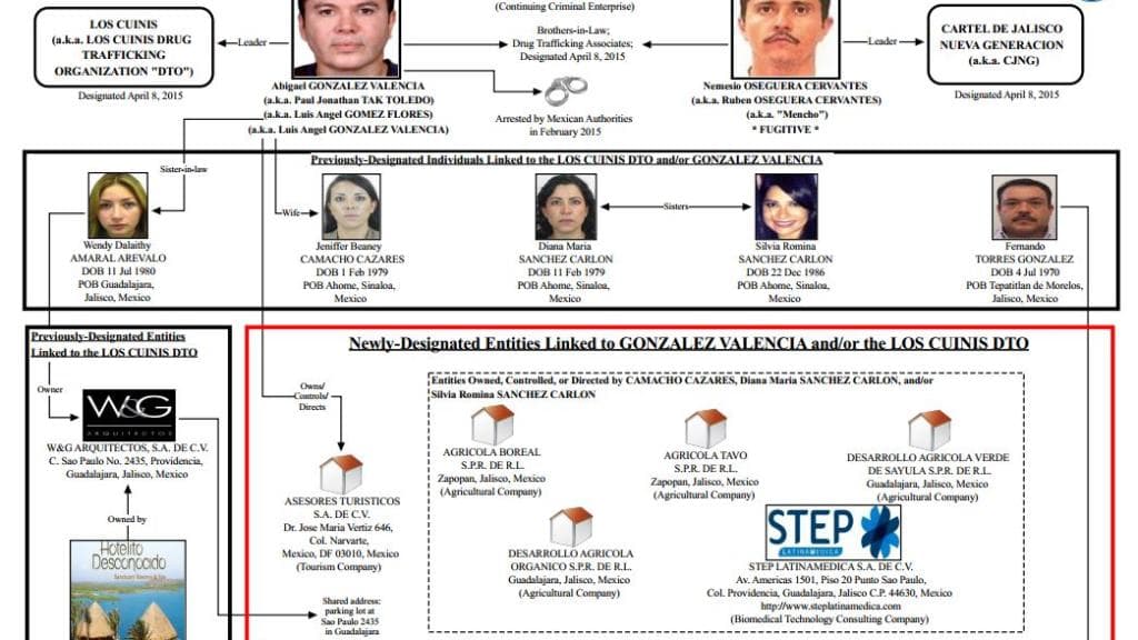 Al etiquetarla como una de las "organizaciones del narcotráfico más prolíficas" del mundo, el Departamento del Tesoro reveló en octubre de 2016 que el CJNG y una organización cómplice, 'Los Cuinis', eran dueños de múltiples negocios, inmobiliarias, hoteles, restaurantes y hasta periódicos en México.