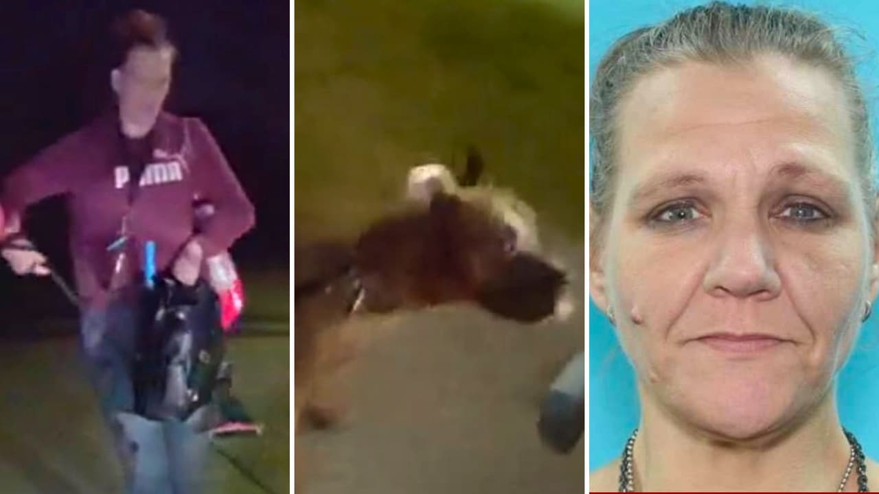 Pitbull ataca a una mujer en Lake Worth, la dueña huyó y podría enfrentar cargos graves