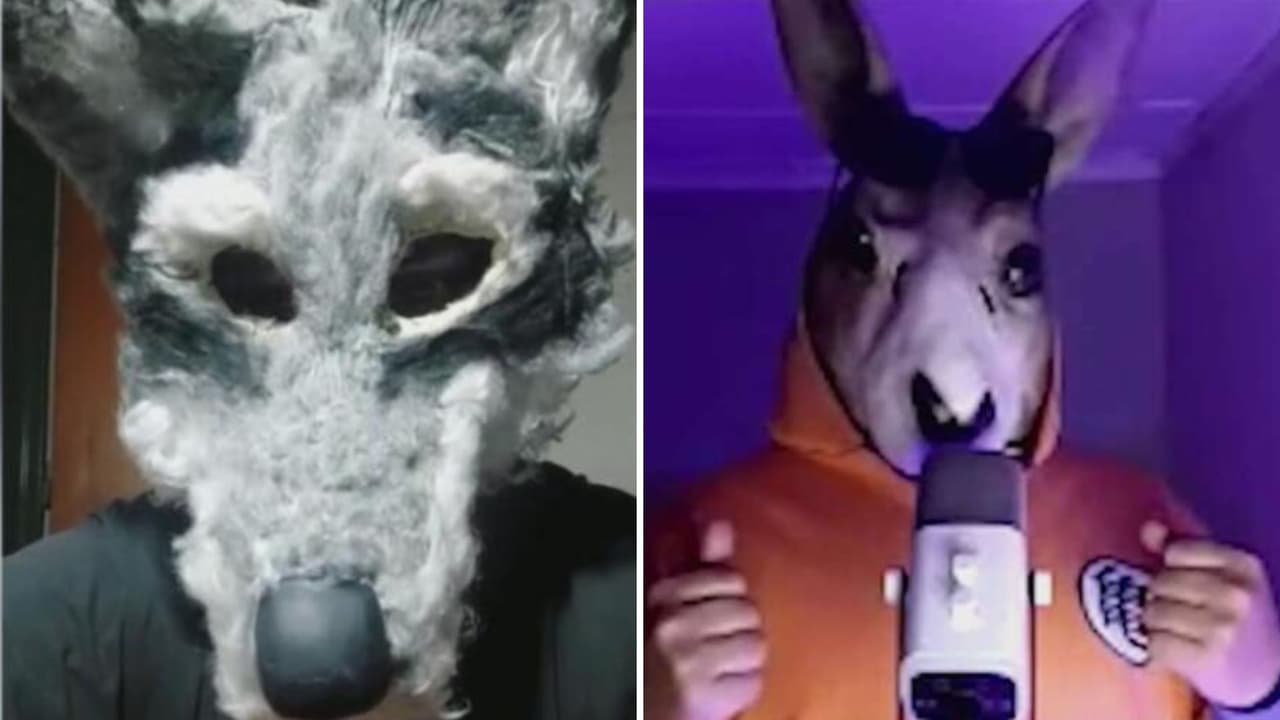 "Tengo dos identidades: una humana y otra como un canguro": Qué es el fenómeno therian