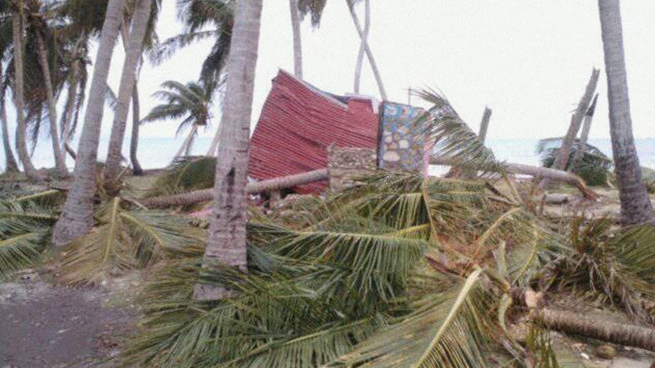 A destroyed house and broken palms in the aftermath of Matthew at Canobert, Ile-a-Vache, an island of 10,000 residents off the south coast of Haiti.