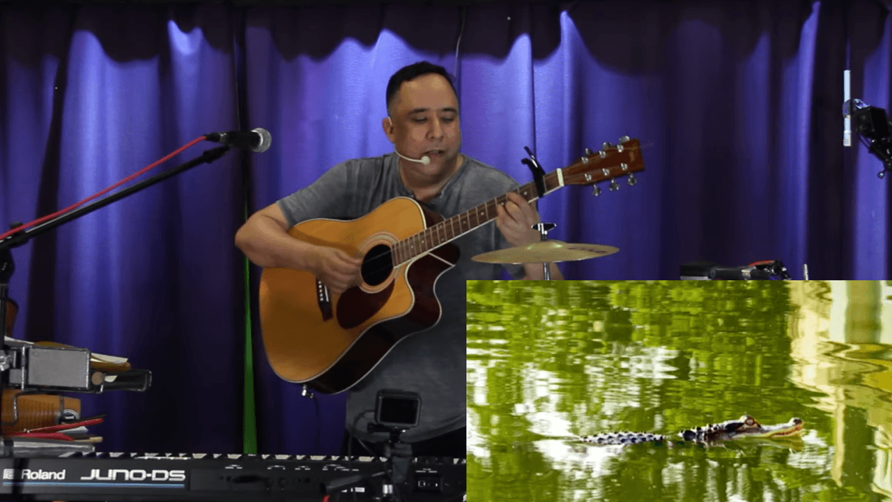 "En la laguna de Humboldt Park hay un cocodrilo sin dientes", crean canción para el caimán de Chicago