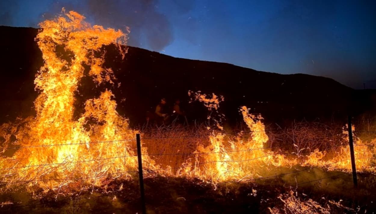 Incendio forestal en el condado de Riverside provoca evacuación de casas
