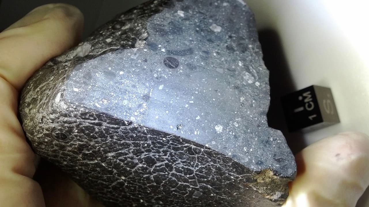 Black Beauty, el misterioso meteorito que contiene una clave inesperada de si hubo vida en Marte