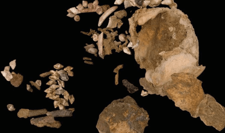 Hallan en una cueva restos del entierro de una niña hace más de 10,000 años