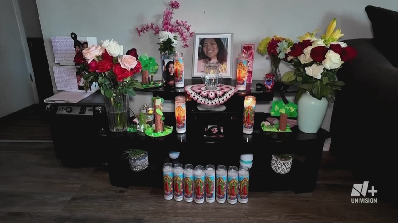 Mientras tanto, en su hogar en Illinois,
<b>sus seres queridos levantaron un altar improvisado con veladoras y oraciones para iluminar su camino. </b>
<br>
<br>Su madre y hermana mantienen la esperanza de poder viajar pronto a México para despedirse personalmente.
<br>
<br>
<b>“Tengo que tramitar documentos… no sé cuánto se vayan a tardar, pero voy a pedir un permiso para que podamos ir a México”, explicó su madre, Reyna Trejo.</b>