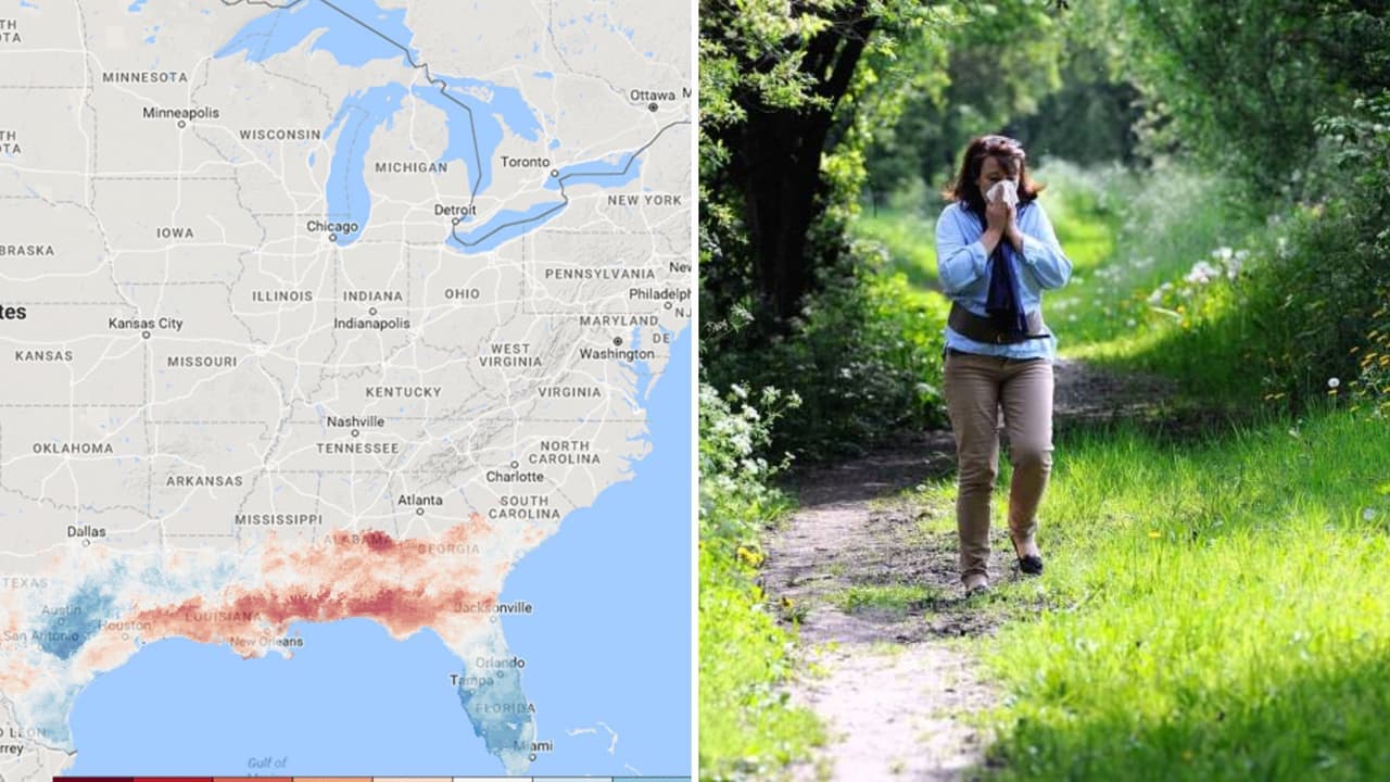 Anticipan una temporada de alergias más larga en Raleigh, Atlanta y 170 ciudades más de EEUU
