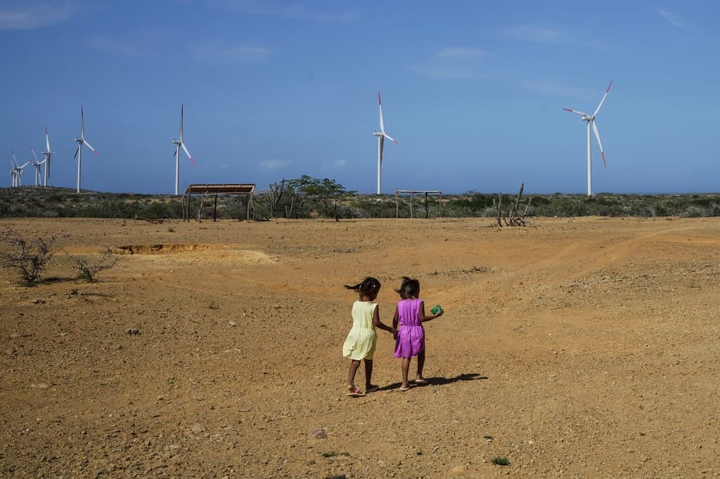 América Latina, una región mortal para defensores ambientales, en 2025 concentró el 85% de los homicidios