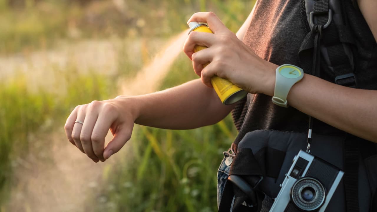 <h3 class="cms-H3-H3">En resumen: no los subestimes </h3>
<br>
<b>Prevenir es más fácil que curar. </b>Con unos cuantos cambios en casa, un poco de atención al salir, y algunos remedios a la mano, puedes pasar esta temporada sin sufrir por los mosquitos.
<b>Proteger a tu familia no tiene por qué ser complicado.</b> Y sí, se puede lograr sin llenar todo de químicos.