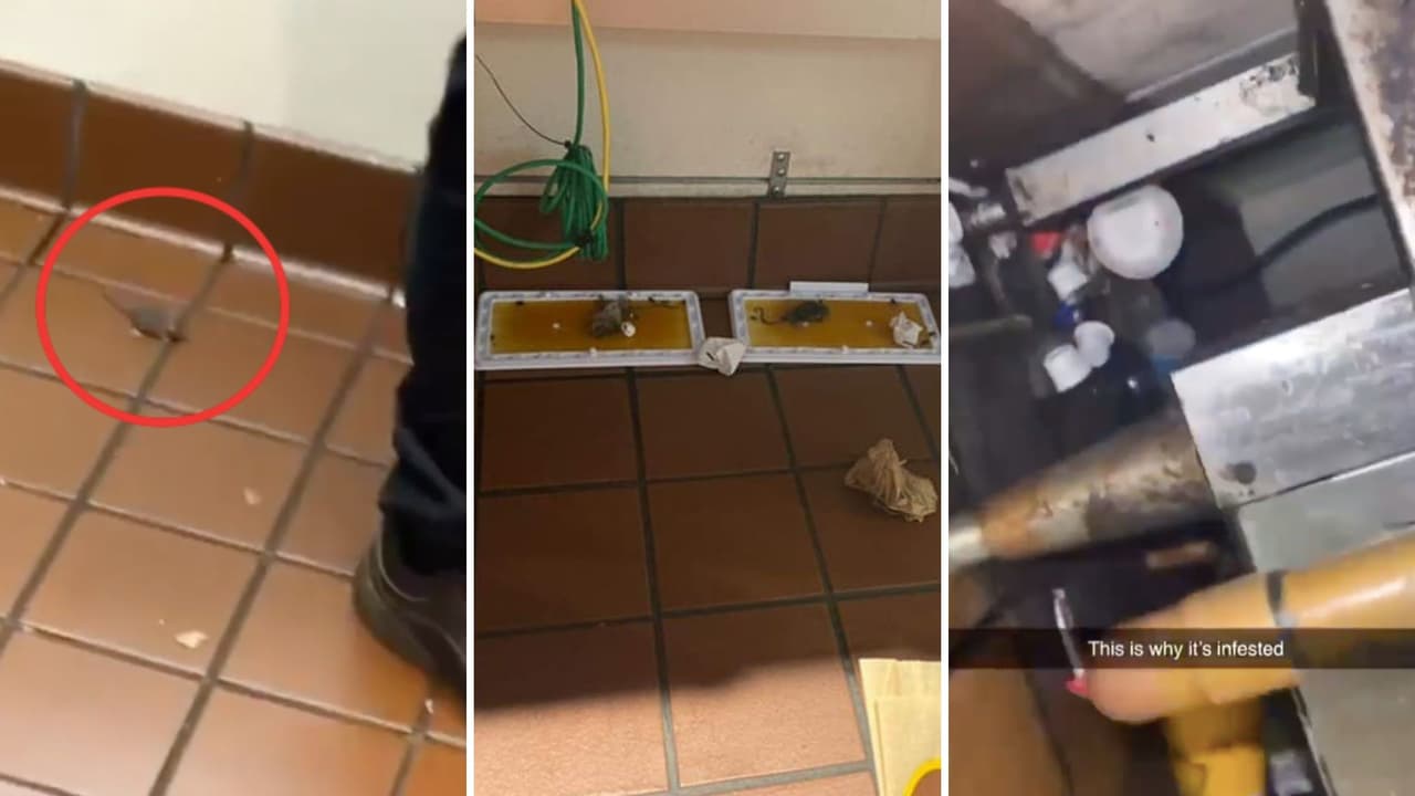 McDonald's en Fresno cierra luego de videos de denuncia por ratas y cucarachas en su cocina