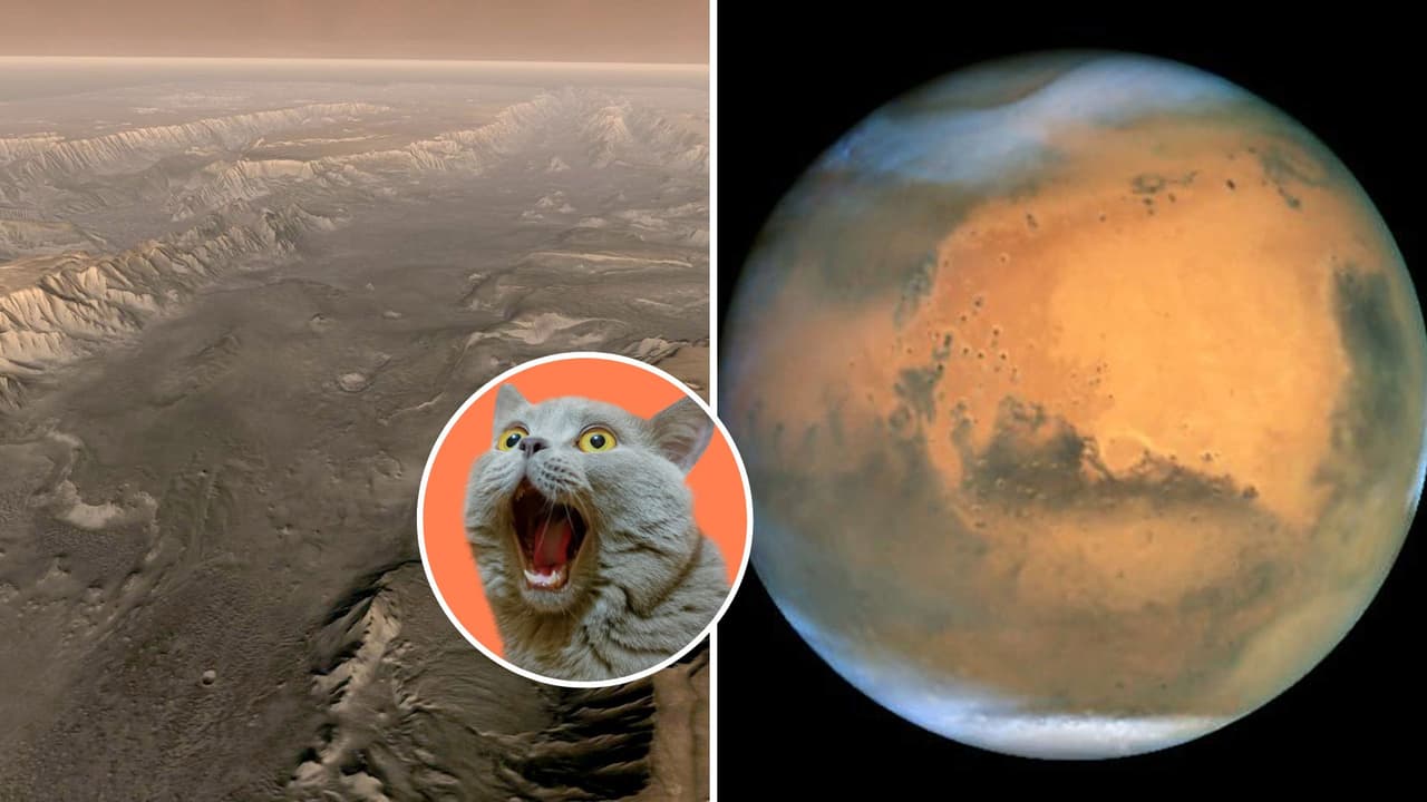 La NASA capta insólitas imágenes de suelo marciano: así se ve Marte con una de sus lunas