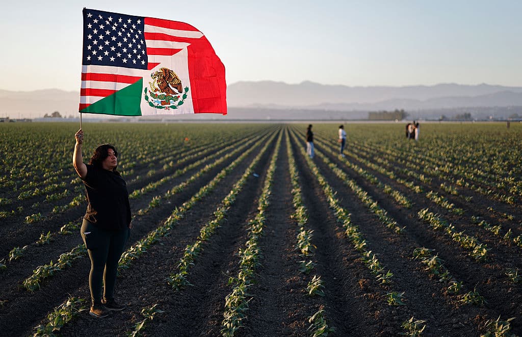 El creciente vacío que dejan las deportaciones en la agricultura, construcción y otros sectores: “Insostenible para el tejido social de EEUU”