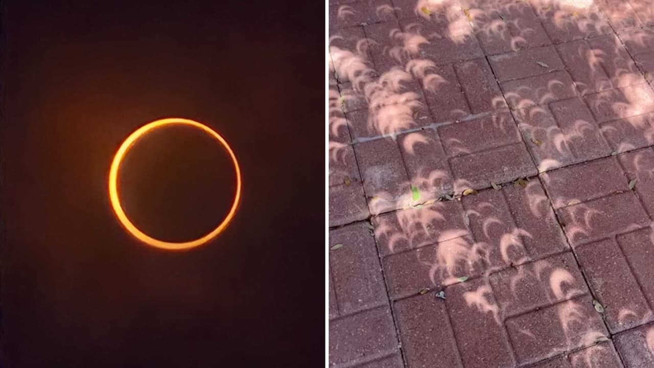 <b>SAN ANTONIO, Texas</b>. – El paso del eclipse solar anular este sábado por Texas dejó
<b>imágenes espectaculares no solo en el cielo</b>, sino en miles de rincones inesperados.