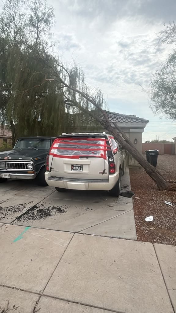 La noche del domingo, estuvo en efecto una
<b> alerta sobre tormenta severa y vientos destructivos</b>. Por ellos también se reportaron daños en zonas como Litchfield Park.