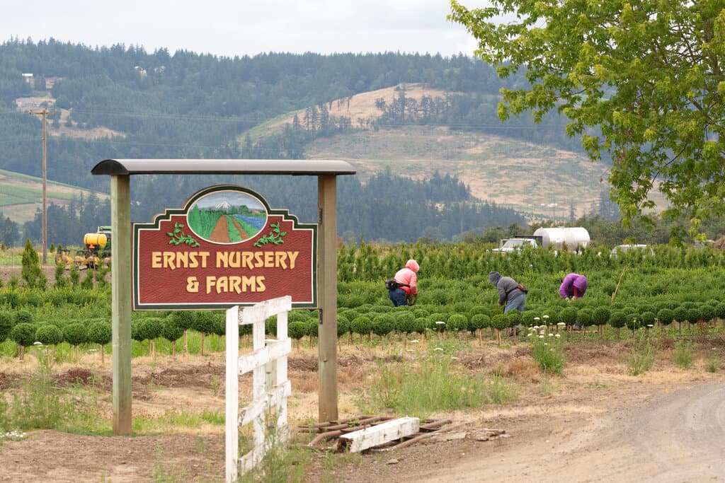 <b>6. Ernst Nursery and Farms,</b> San Paul, Oregon. En junuio de 2021 falleció en este lugar Sebastián Francisco Pérez, un inmigrante guatemalteco de 38 años,
<a href="https://www.univision.com/shows/despierta-america/ola-de-calor-de-costa-a-costa-deja-un-saldo-mortal-y-temperaturas-record-video">producto de una ola de calor que alcanzó temperaturas de hasta 105 grados</a>.