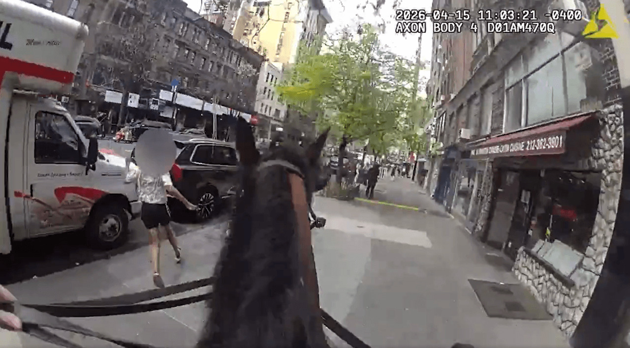 Policía a caballo persigue y detiene a ladrón en pleno centro de Manhattan