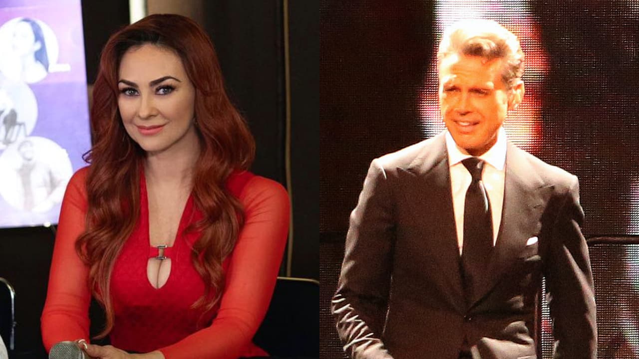 Desmienten otra vez a Aracely Arámbula: esta sería la prueba de que Luis Miguel sí paga manutención