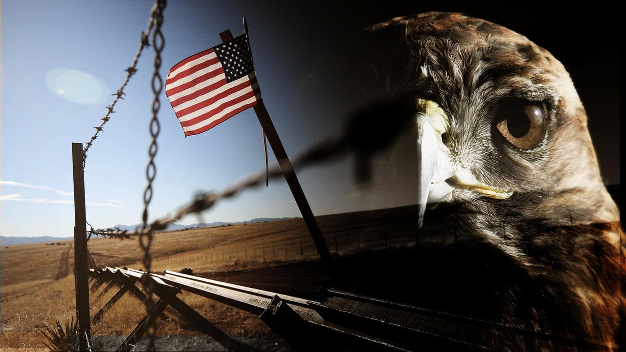 Meet the 15 immigration hawks defining Trump's agenda