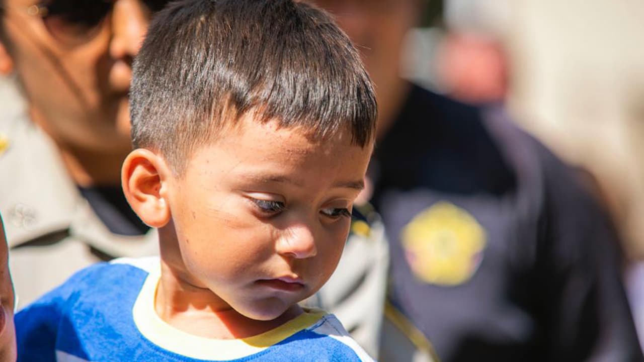 Expertos explican cómo pudo sobrevivir Christopher Ramírez cuatro días perdido en un bosque