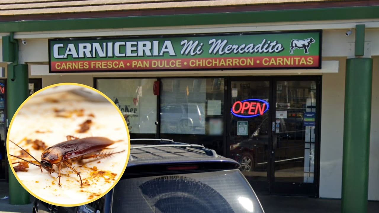 ¿Compras carnitas ahí? Encuentran más de 200 cucarachas en una carnicería mexicana en Elk Grove