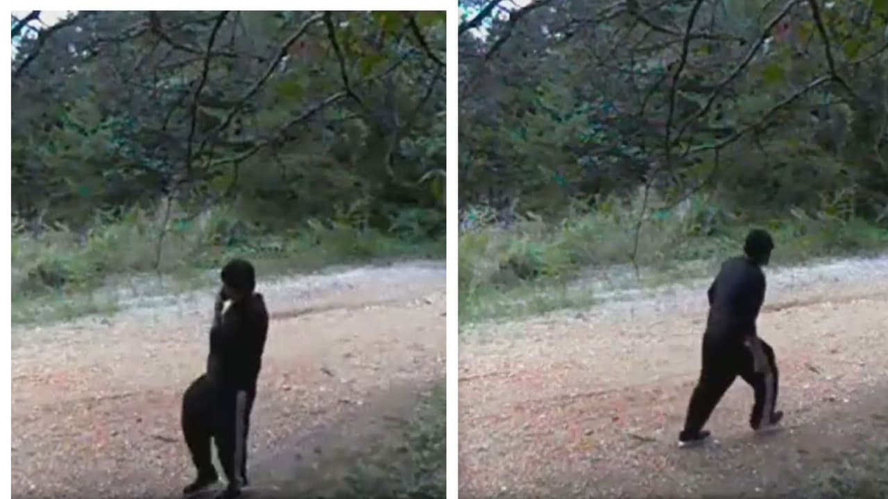 Capturan a presunto delincuente sexual en Virginia: Se encontraba cerca de un parque con niños