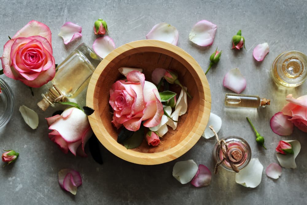 Las rosas también pueden ser 'consumidas' o aprovechadas por sus pétalos, o cuando se convierte en aceite o esencia o inclusive haciendo agua de rosa. Todas tienen sus beneficios esotéricos particulares.
