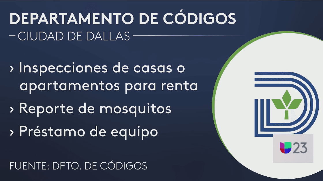¿Buscan trabajo? El Departamento de Códigos de la Ciudad de Dallas te quiere contratar ya