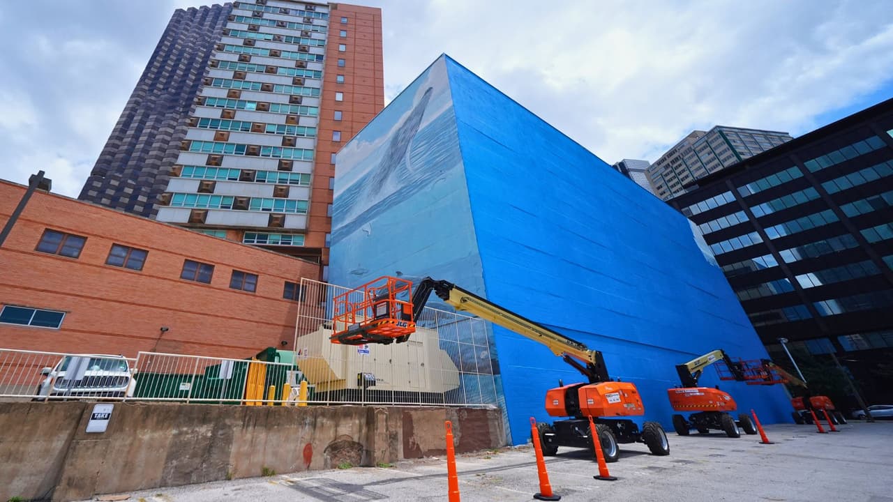 <h3 class="cms-H3-H3">Wyland reclama que no autorizó el cambio del mural</h3> La polémica aumentó después de que
<b>Wyland afirmara que no fue consultado antes de que su mural fuera cubierto.</b>
<br>Sus abogados enviaron
<b>una carta dirigida a FIFA, al comité organizador local y a la ciudad de Dallas.</b>
<br>El reclamo cita la Visual Artists Rights Act, conocida como VARA,
<b>una ley federal que protege ciertos derechos de artistas sobre sus obras visuales.</b>
<br>La ciudad de Dallas emitió un permiso relacionado con el cierre de la acera, pero
<b>remitió las preguntas sobre el mural al comité organizador local.</b>
<br>La empresa Slate Asset Management, dueña del edificio, dijo que
<b>se le pidió donar la pared</b> y que le indicaron que Wyland había sido contactado.