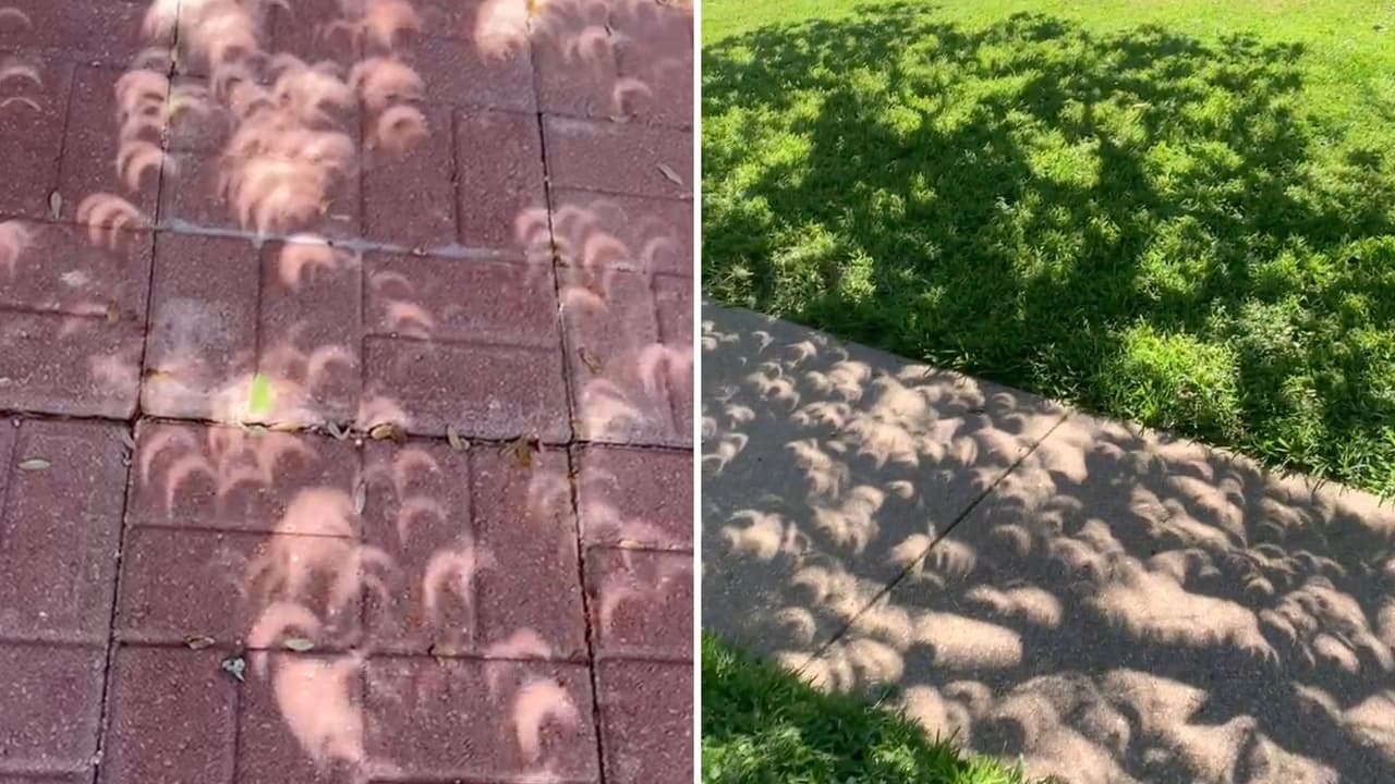 La
<b>proyección del eclipse en las sombras</b> fue una de las recomendaciones que la NASA hizo para quienes no contaban con lentes especiales para ver eclipses o con micas oscurecidas. En Dallas el avance del fenómeno fue posible a través de las sombras que proyectaron los árboles en los jardines y aceras.