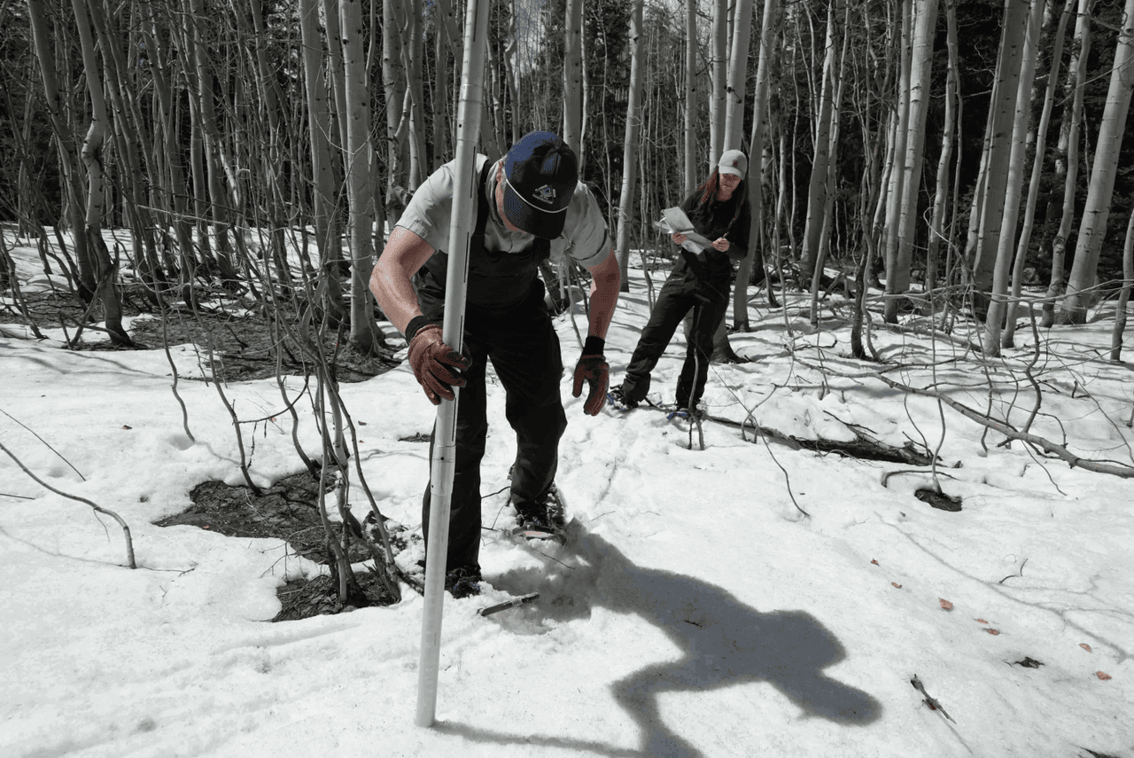 Histórica baja en nieve en Colorado anticipa crisis de agua en el oeste de EEUU