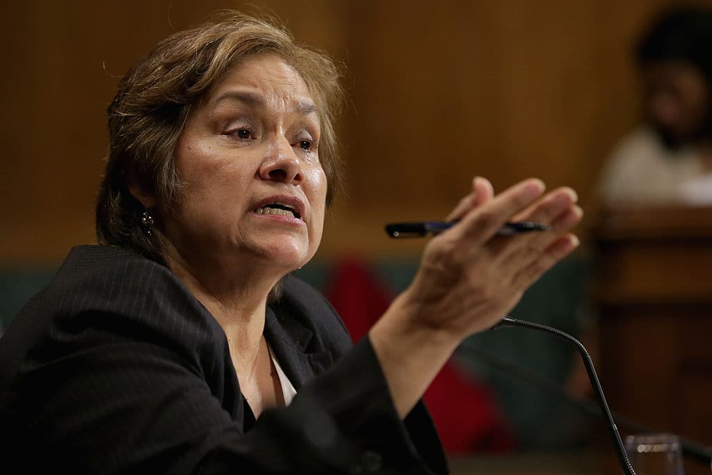 "Para aterrorizar a la gente": exdirectora de ICE analiza las tácticas migratorias de Trump