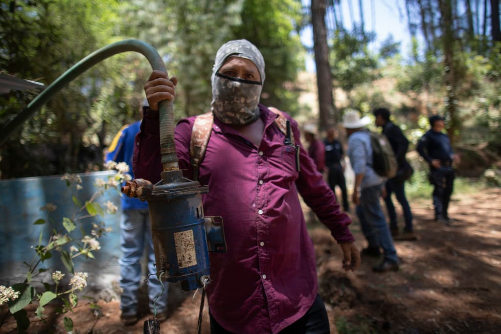 Agricultores mexicanos arremeten contra productores de aguacate que les quitan su agua y a veces son protegidos por carteles
