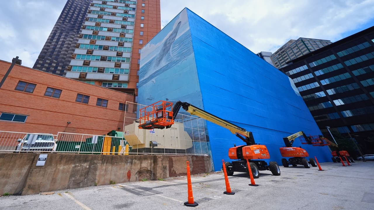 <h3 class="cms-H3-H3">La ley federal protege ciertas obras visuales</h3> El caso se apoya en Visual Artists Rights Act,
<b>una ley federal que protege ciertos derechos de artistas visuales en Estados Unidos.</b>
<br>💡 En términos simples: esa norma
<b>puede proteger obras reconocidas contra destrucción, mutilación o modificación sin cumplir requisitos legales.</b>
<br>Wyland no solo dice que perdió un mural, dice que
<b>Dallas perdió una obra pública que ya formaba parte de la memoria diaria de la ciudad.</b>
<br>El mural era parte de la serie internacional Whaling Wall, creada por Wyland
<b>para promover conciencia sobre la vida marina y la conservación del agua.</b>
<br>El artista ha creado
<b>más de 100 murales de gran escala con ese mensaje.</b>
