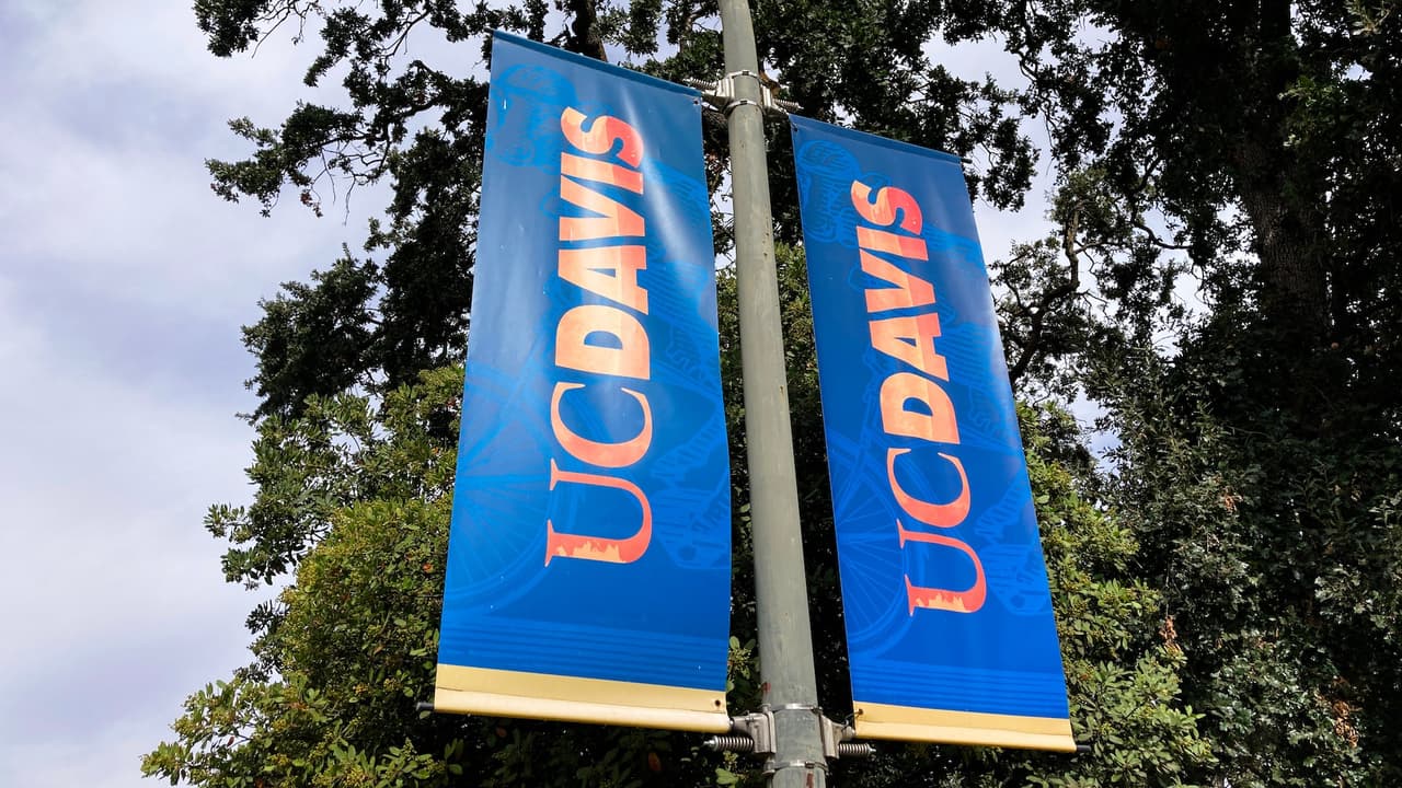 Cancelan visas a estudiantes internacionales y recién graduados de UC Davis sin previo aviso