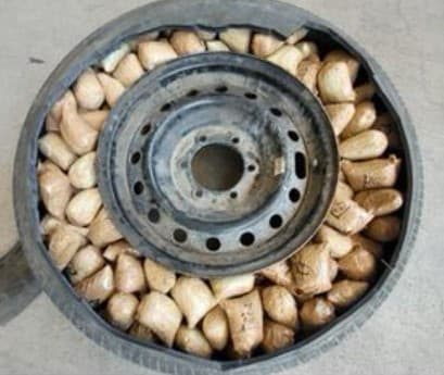 Entre finales de agosto y los primeros días de septiembre, agentes de Aduanas y Protección Fronteriza (CBP en inglés) lograron
<b>decomisar miles de pastillas de fentanilo que estaban siendo trasladadas en trenes, vehículos y más</b>.