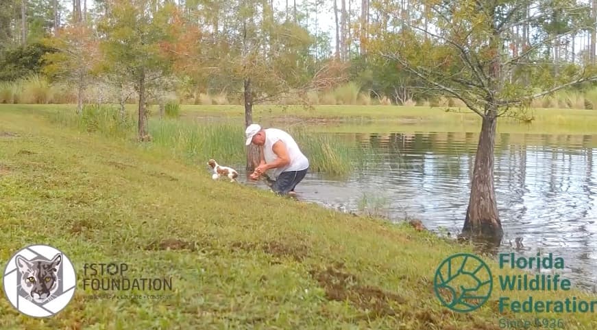 El hombre consiguió liberar a su perro de las fauces del cocodrilo, quien ya lo había hundido en lo profundo del lago.
