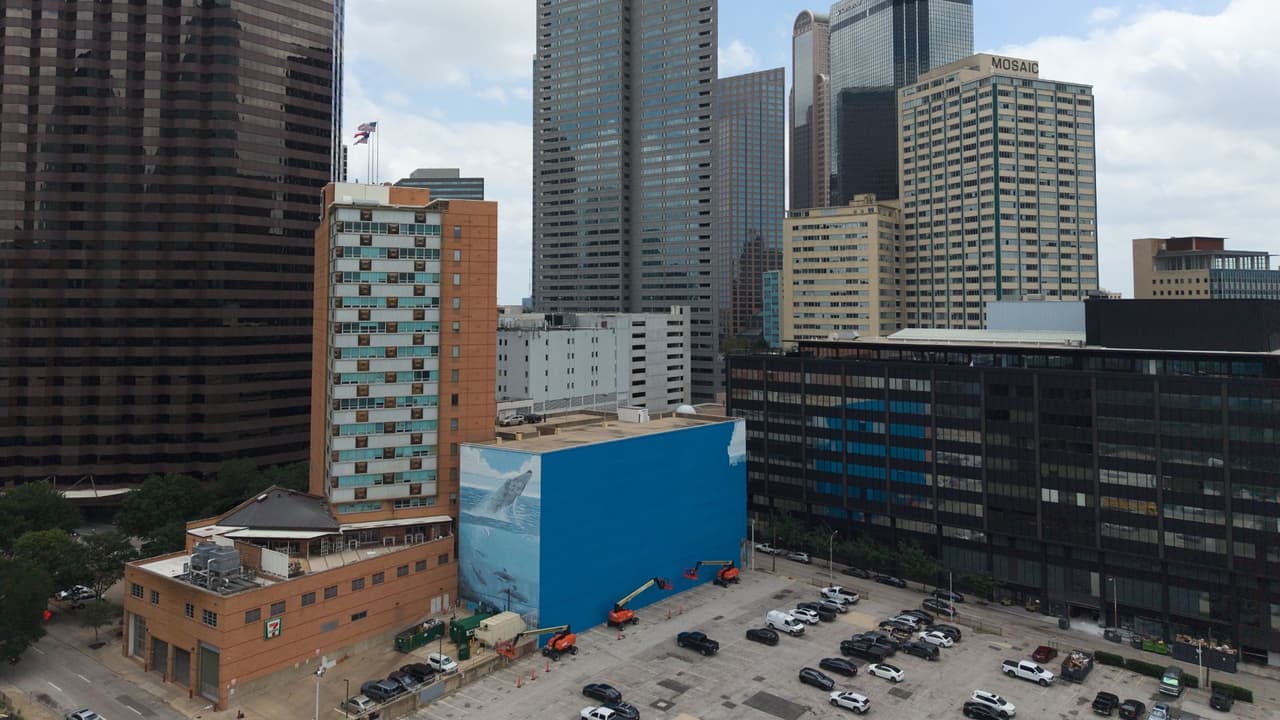 <h3 class="cms-H3-H3">El Mundial en Dallas impulsa una nueva imagen urbana</h3> Los trabajos para cubrir el mural comenzaron en mayo, como parte de
<b>una nueva instalación relacionada con el Mundial. </b>
<br>Dallas será una de las sedes del torneo, aunque
<b>los partidos se jugarán en el AT&T Stadium de Arlington,</b> que durante la competencia será identificado como Dallas Stadium.
<br>El comité organizador local ha dicho que
<b>reconoce la importancia cultural e histórica del mural.</b>
<br>También señaló que
<b>una parte de la obra será preservada como tributo</b> y que la nueva pieza busca reflejar el ambiente del Mundial.
<br>El cambio, sin embargo,
<b>abrió una discusión sobre cómo se toman estas decisiones </b>cuando una ciudad se prepara para un evento internacional.
