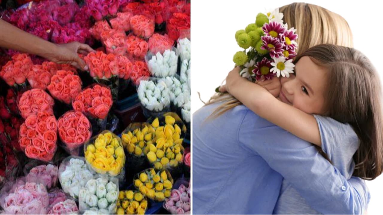 Los 10 planes imperdibles para celebrar el Día de las Madres en San Antonio