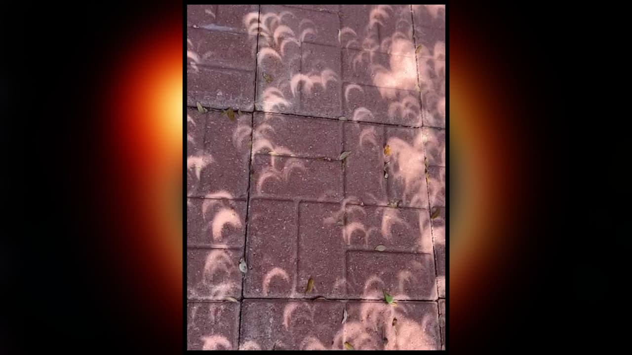 Cualquier lugar fue ideal para ver el eclipse,
<b>sin necesidad de mirar al cielo</b>. En las banquetas en Dallas, las sombra de la Luna oscureciendo el Sol fue visible para cualquier persona.