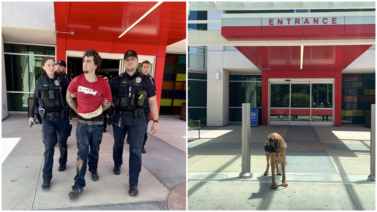 Sospechoso de robo se esconde en techo de hospital en Gastonia; policía canino lo encuentra