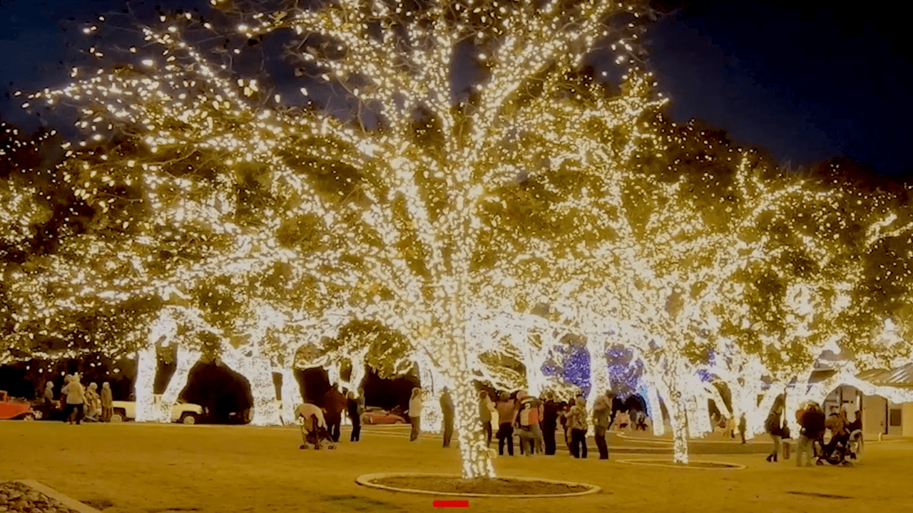 El espectáculo de luces es gratuito y está abierto al público hasta el sábado 5 de enero.