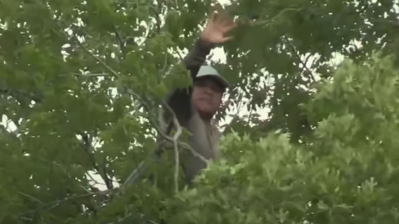 A las 11:00 am
<b><a href="https://www.univision.com/local/san-antonio-kwex/ice-inmigrante-arbol-raul-ical-san-antonio" target="_blank">se trepó al árbol </a>y estuvo por ocho horas en las que pasó de todo. </b>Su arresto fue viral y comentado entre la comunidad hispana por el tiempo que estuvo sobre el árbol, mientras que abajo lo rodeaban decenas de agentes federales, del Sheriff y hasta bomberos.