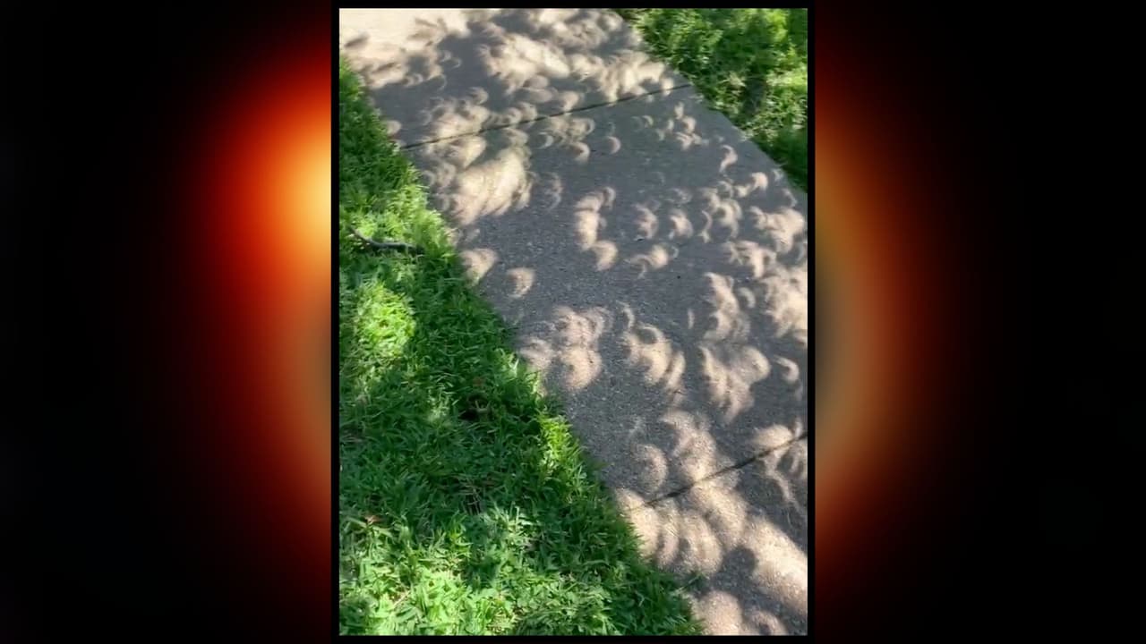 El paso del eclipse ocupó todos los rincones,
<b>incluso en las aceras su reflejo formó figuras fugaces</b> que no se repetirán en varias décadas, pero que dejaron estas hermosas imágenes.