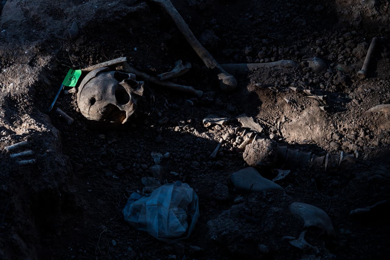 Hallaron un cráneo y pensaron que podía ser de un crimen: era una pieza de 8,000 años de antigüedad