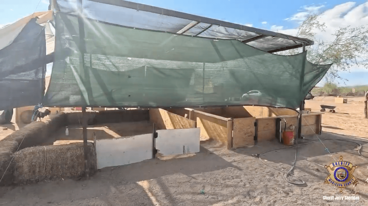 El 4 de abril de 2026, en Rainbow Valley, Arizona, una denuncia llevó a agentes del condado de Maricopa hasta una propiedad donde el ruido se escuchaba a kilómetros de distancia.