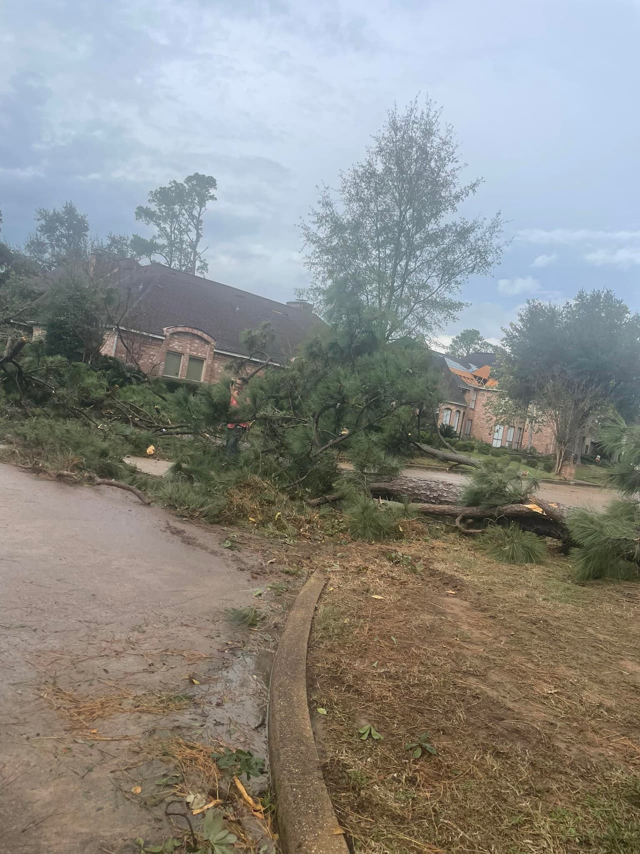 La advertencia de tornado abarcó
<b>los condados de Harris, Montgomery y Waller, </b>con llamados insistentes a refugiarse en cuartos interiores, alejados de ventanas, mientras duraba la amenaza severa.