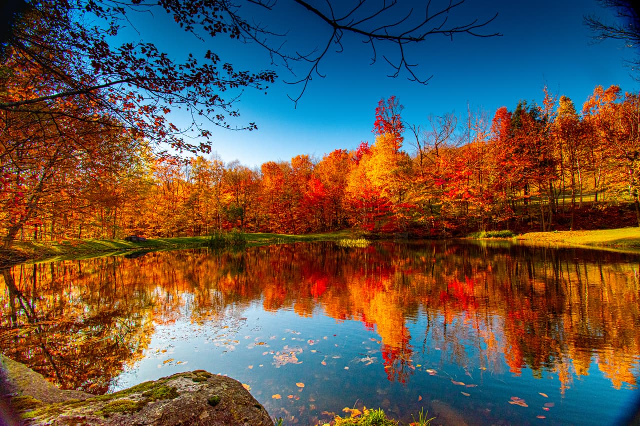 <h3 class="cms-H3-H3">23. Vermont</h3>
<br>
<br>El incremento previsto del salario mínimo por hora en Vermont será de $12.55 a $13.18, según Bloomberg Tax calculations.
<br>