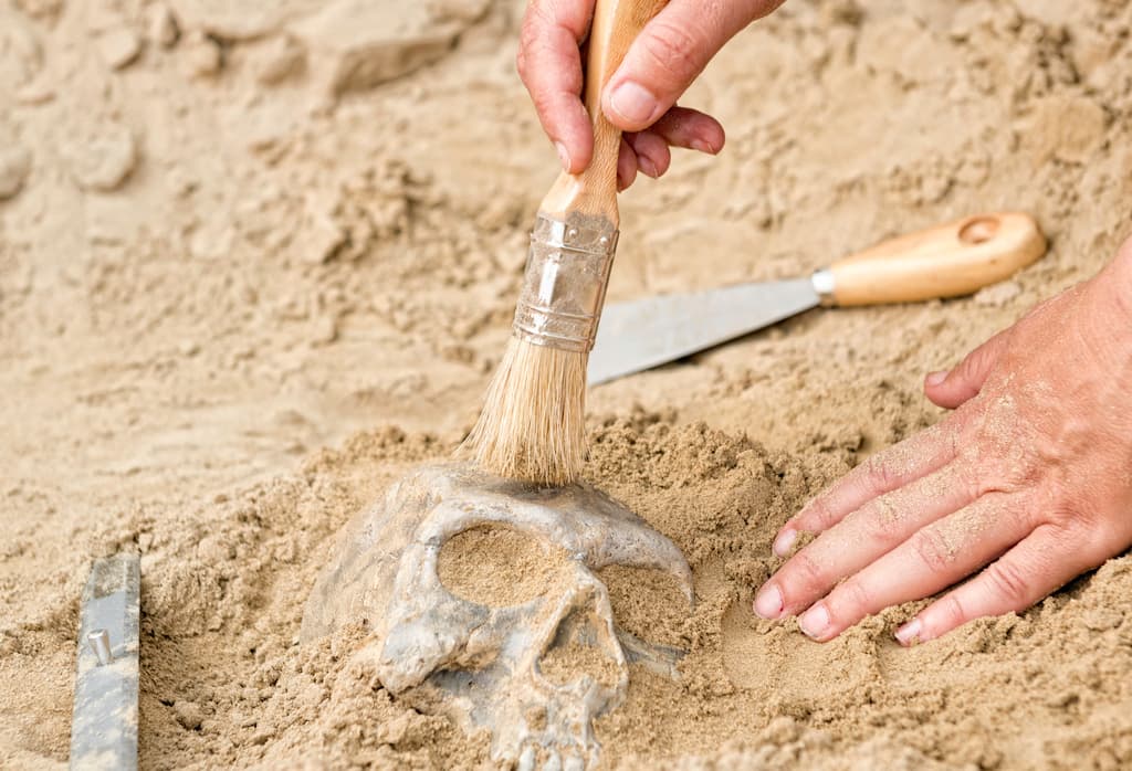 Llevaba un candado atado al tobillo: así fue el sorprendente hallazgo de la tumba de un 'niño vampiro' del siglo XVII