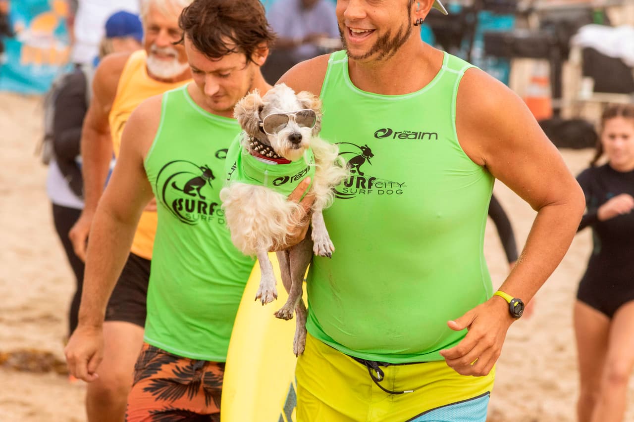 En la edición 2019 de la competencia participaron unos 30 perros.